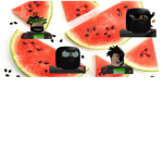 gang xd