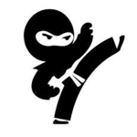 Secret_Spy_Ninjas