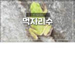 먹자리수