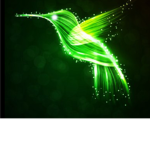 Birds United home