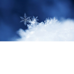 Shadow and Frost