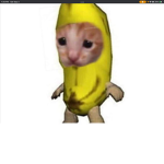 if u join the group you a king u pogger