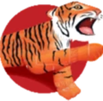 Stagecoach tiger