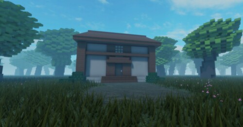 First House (WIP)