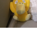 Say duck