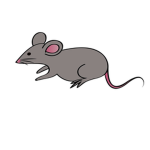 Epicc Sewer Rats <3