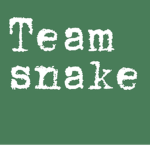 Team._.sneaK