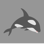 OrcaKilla fan group