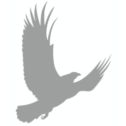 Eagle-Hotels Interview Center