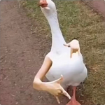 送rrrrrrrrrrrrrrrrr群