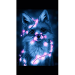 Galaxy Fox_XD2008
