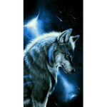 The Alpha’s Pack