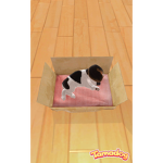 Who wouldn't like cute puppys