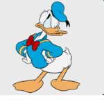 #DONALD DUCK SQUAD ORIGINAL