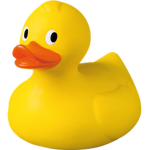 Duck Ducks Studio