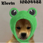 Klevin