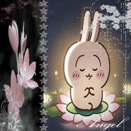 cope life with usagi