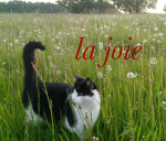 la joie