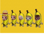 Cat-nana