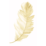 The golden feather
