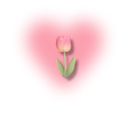 lovely money ྀིྀི