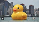 The kingdom of the slay ducks