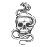 The Snake And The Skull.