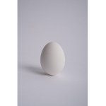 Random Eggos