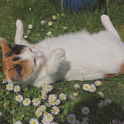 ୨୧