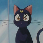 kats kittenz