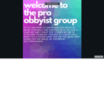 the official roblox pro obby players
