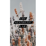 theAESTHETIC..lab