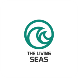 The Seas