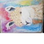 llama/alpacas fans