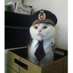 Kitty Forces Special Ops