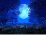 MoonLight Horror Studios