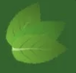 The official Mint fan club
