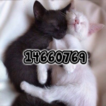 7722