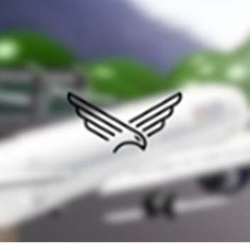 Flight Schedule