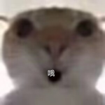 XS北京军区OS
