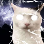 Deo Dumpster Group Thumbnail