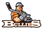 Washington Bullies