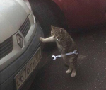 My Cats Workshop