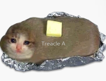 Potato family----