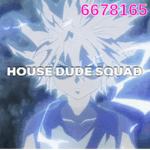 House dude squad