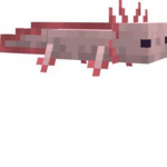 axolotl gang time