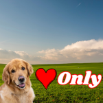 Doggy Lovers Group