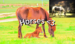 Equestrians safe space<3