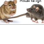 MOUSE/RAT ARMY