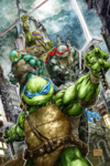 The new york TMNT universe